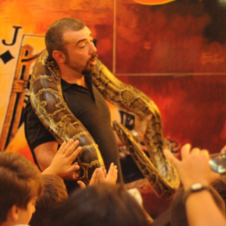 Spettacolo con serpenti Spettacolo con serpenti